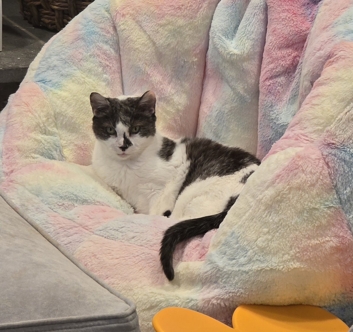 Mizzteq (💙mtqcapture.bsky.social) tweet media