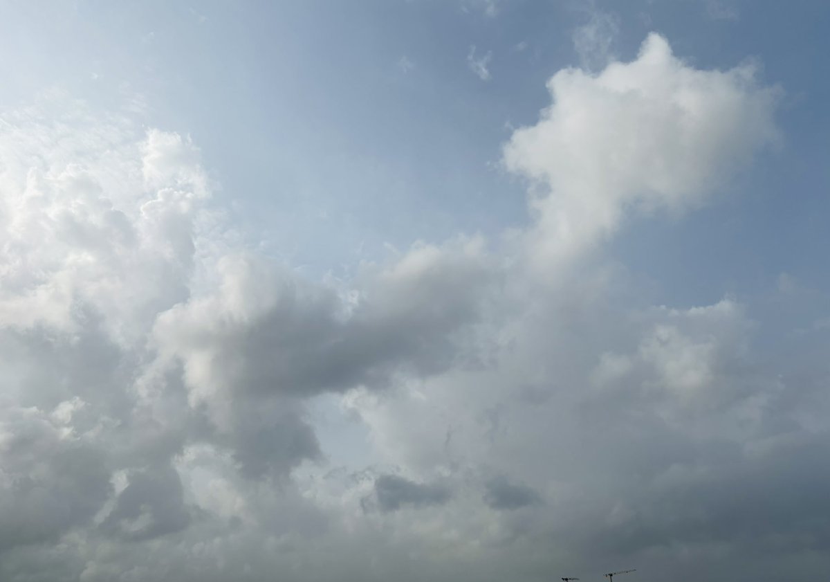 pooja_krishna's tweet image. अब तो चुप-चाप शाम आती है
पहले चिड़ियों के शोर होते थे….

प्रणाम 🙏 गुरुवर 

#ShubhSandhya 
#RekhtaShayari
#MohammadAlvi ✍️