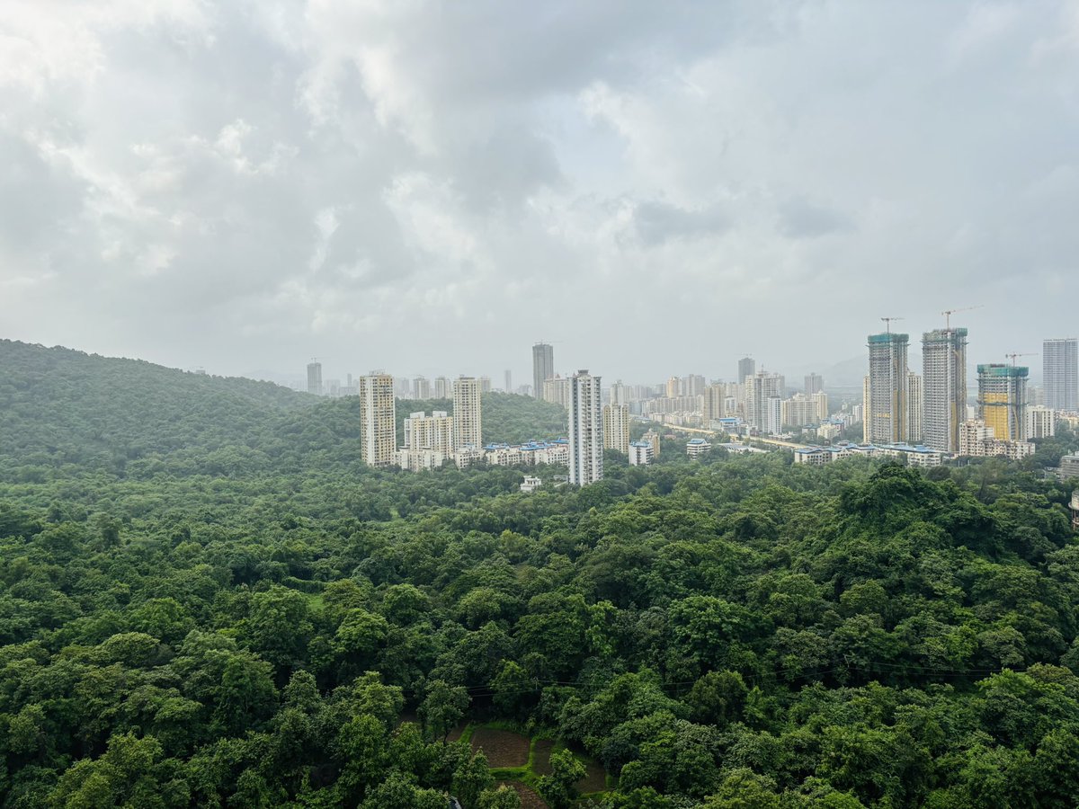 pooja_krishna's tweet image. अब तो चुप-चाप शाम आती है
पहले चिड़ियों के शोर होते थे….

प्रणाम 🙏 गुरुवर 

#ShubhSandhya 
#RekhtaShayari
#MohammadAlvi ✍️