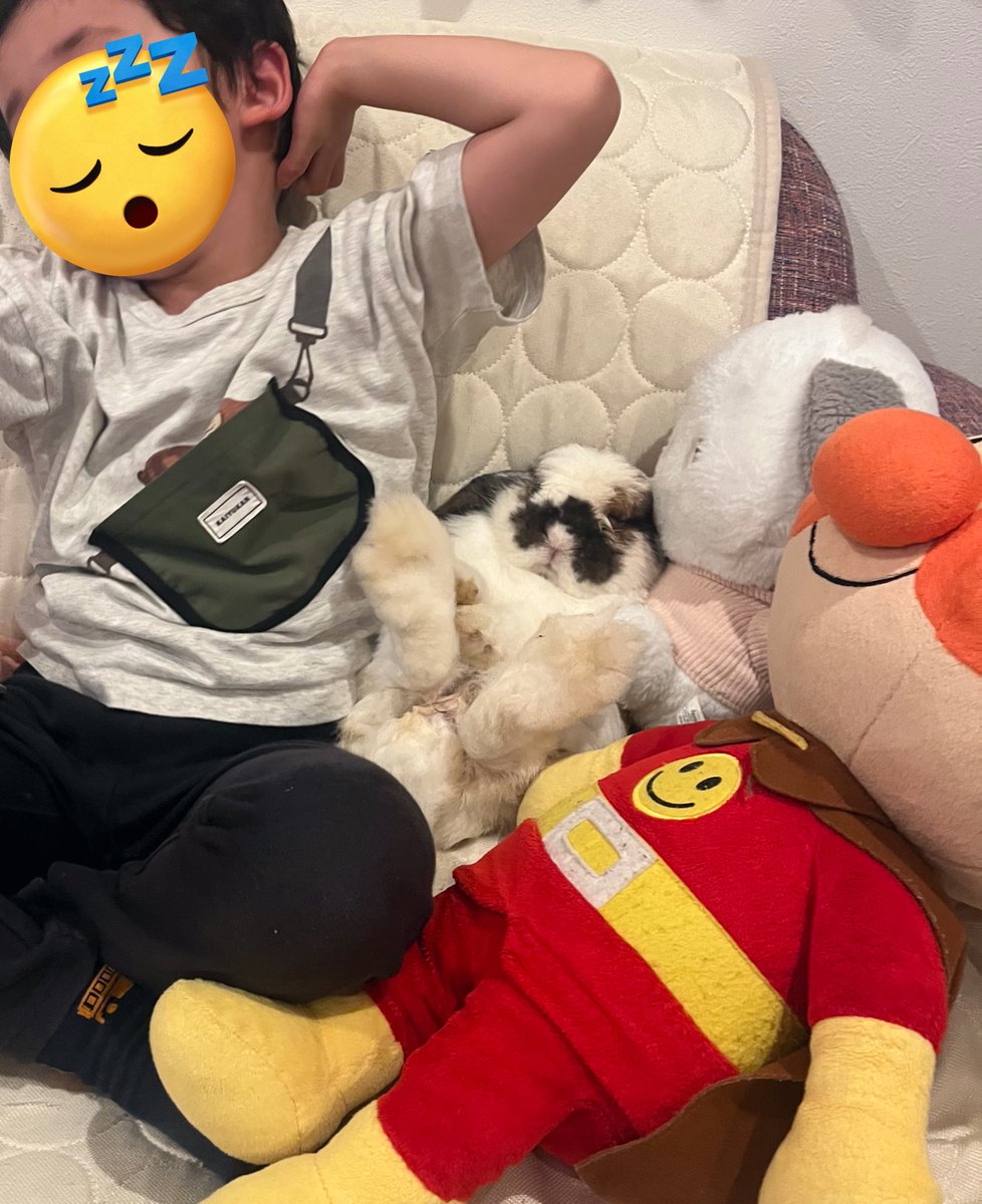 無造作に転がってた