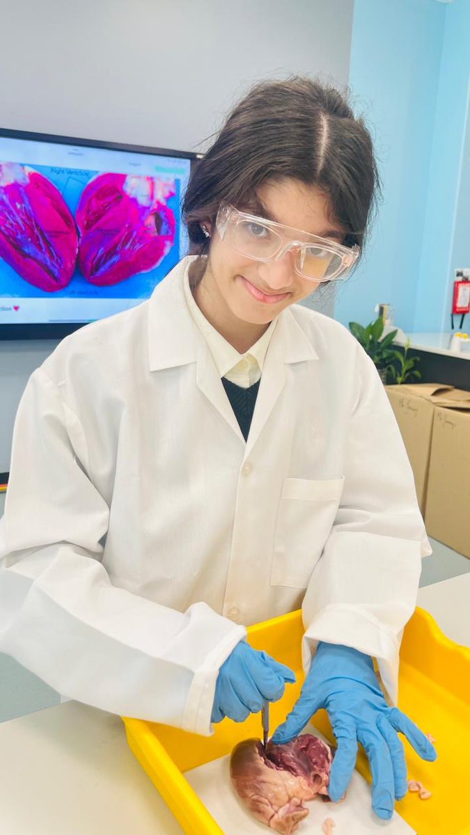 Ms. Jenny’s class had an awesome time exploring the real deal in science today with a heart dissection! 🫀🔬 Learning was hands on and the curiosity was off the charts! #STEM #ScienceClass #HandsOnLearning