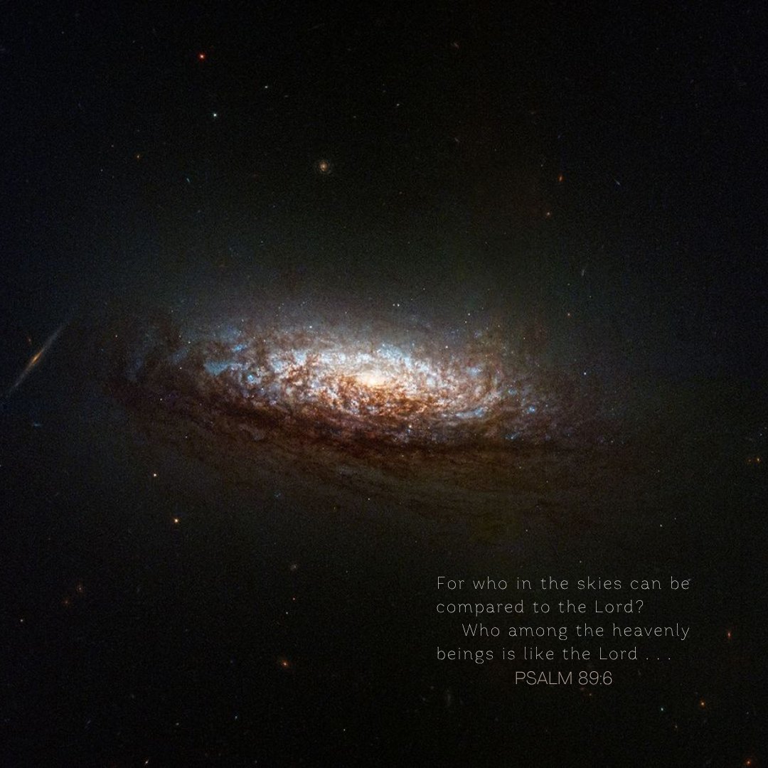ScienceShepherd tweet picture