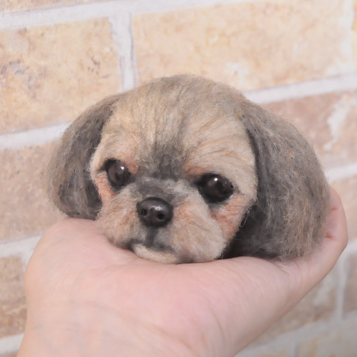 次のオーダー制作は久々のシーズーちゃんです😊
過去自分が飼っていた犬種でもあり、四足歩行の生き物の中で一番大好きなシーズー。

シーズーを制作している時はついついニヤニヤしてしまいます笑

#羊毛フェルト #ハンドメイド　#needlefelting  #シーズー #shihtzu