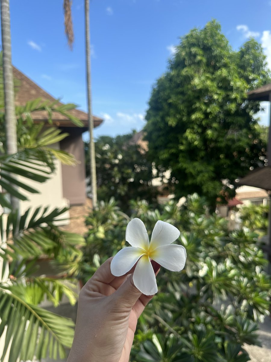 moon55823695's tweet photo. Gone exploring🏖️. 🍒will be back to work in 3 weeks with stories, sunburns, and a full camera roll.#Samui🏝️ https://t.co/71GRlXAElM
