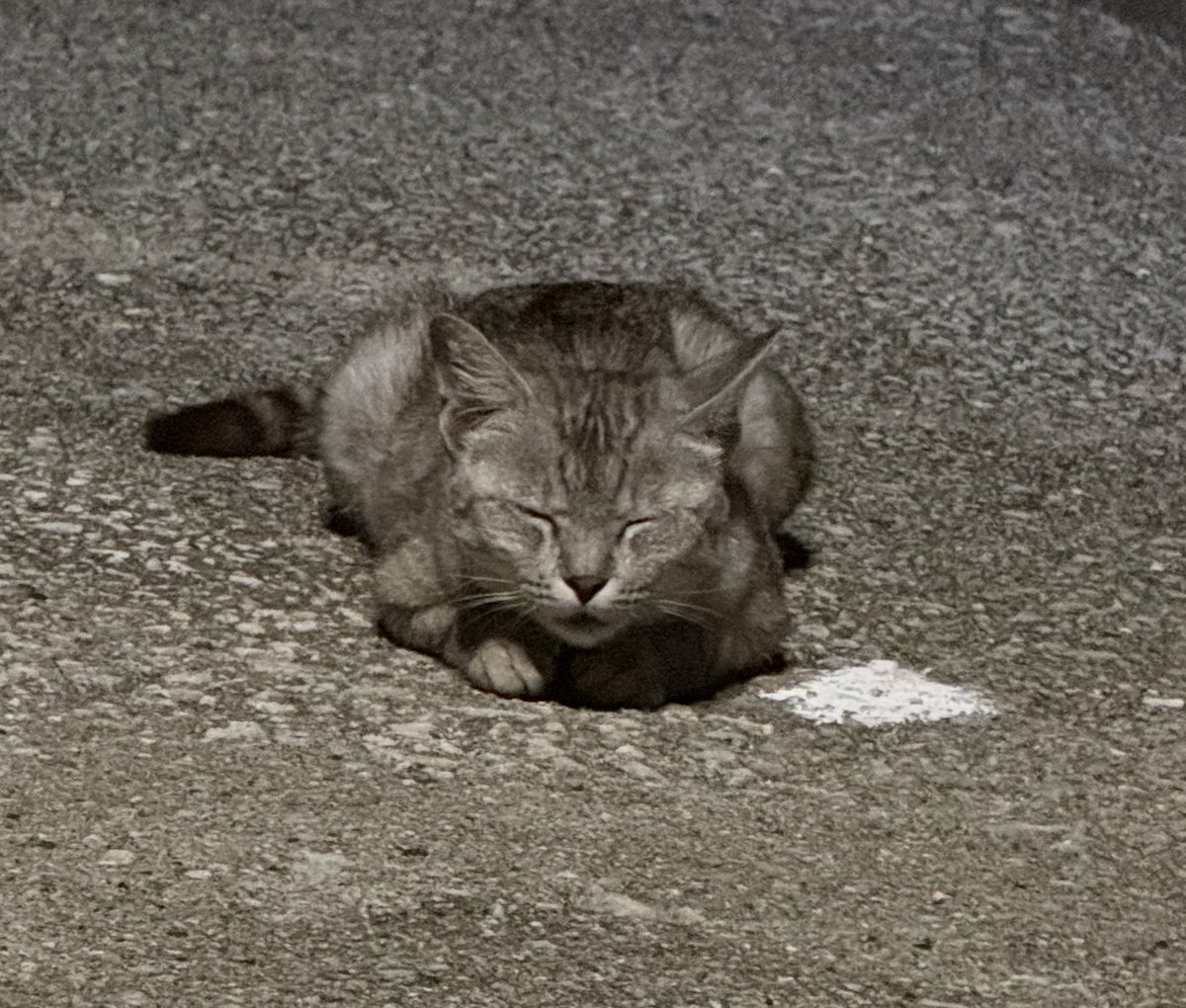久しぶりの夜アジング。
釣れないと眠くなるよね