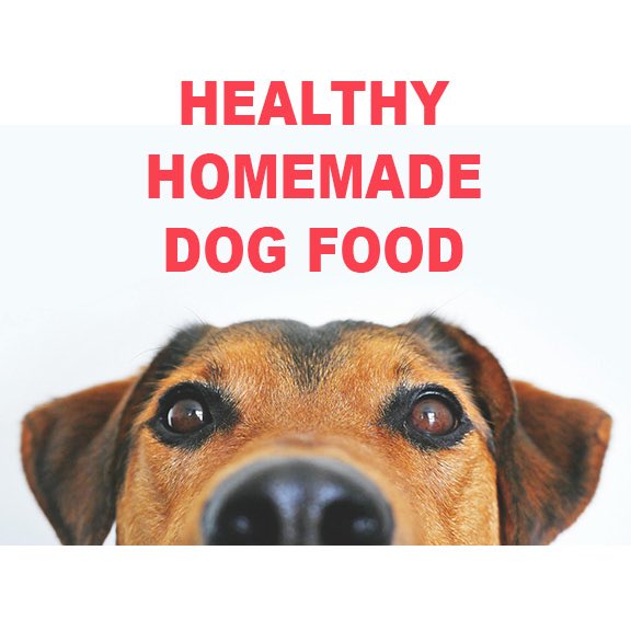 fabustuff's tweet image. How to make “Healthy Homemade Dog Food” and why you should. 
etsy.com/listing/432555… 
#pets #dogs #etsy