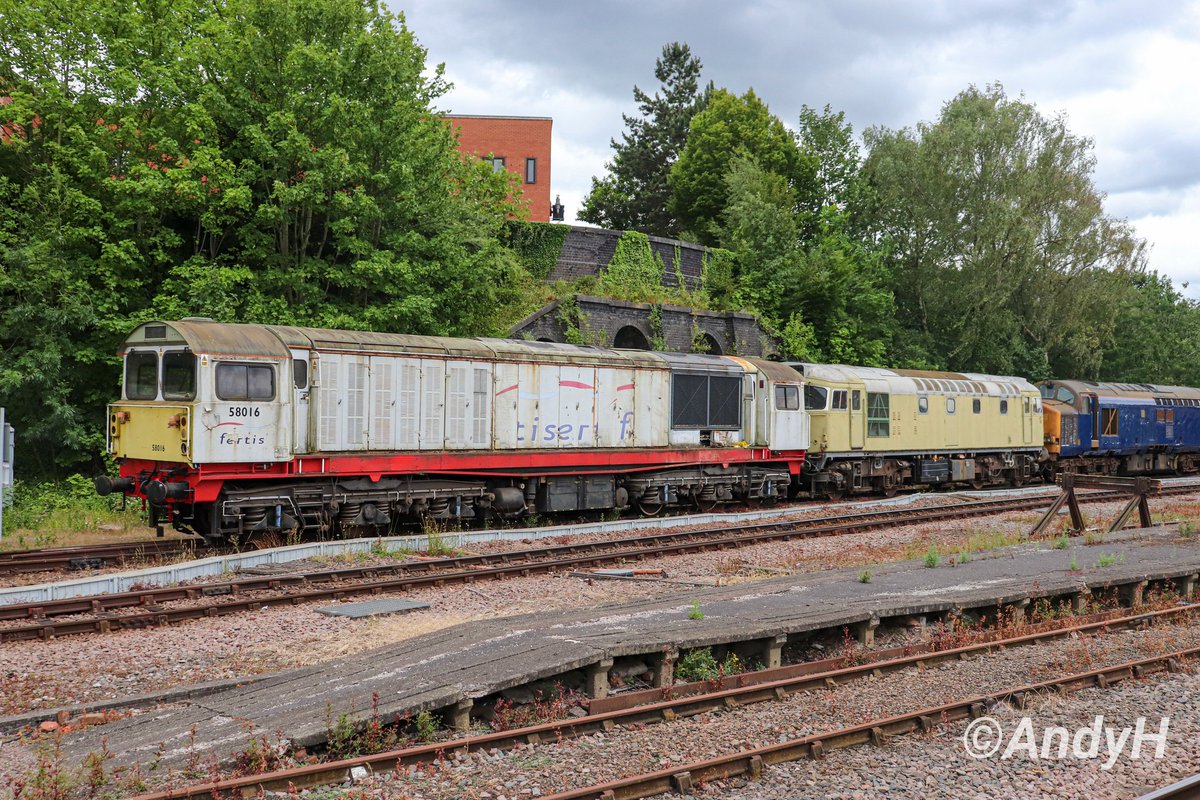 holtona72's tweet photo. 1/4 #MidweekMashup One of the shunt moves at Leicester yesterday as 68026 (out of shot) moved a number of different engines around the LIP. This move was 58016, 27059 & 37069. Great to see the old timers up close again. Individual pics in the thread. #MML #HeritageDiesel 24/6/25 https://t.co/gKR9SfiG74