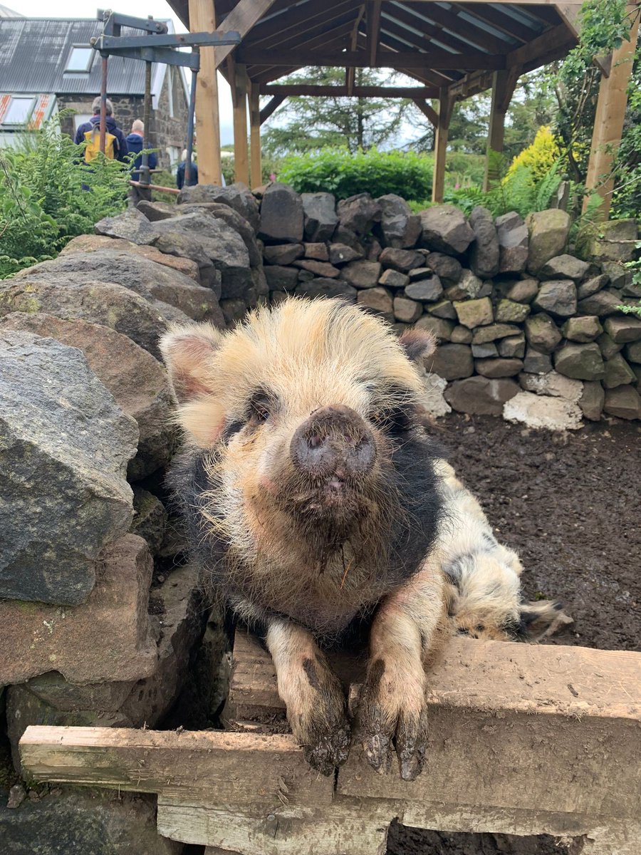 Read all about a wonderful week of music on our Hebridean harmony cruise, accompanied by guest musician Will Marshall: bit.ly/HebHarmony
#hebrideanprincess #cruise #luxurytravel #smallshipcruising #lovescotland #music