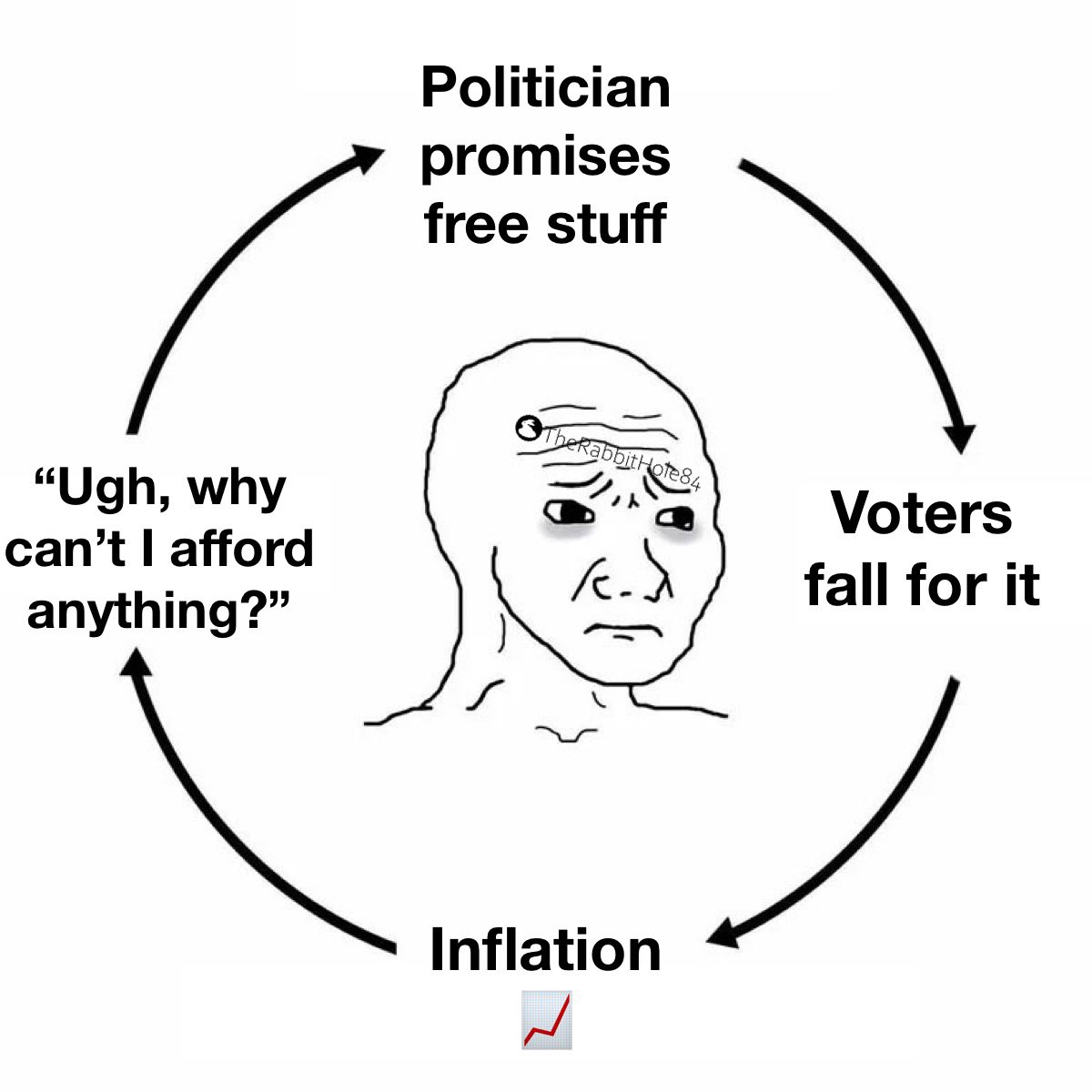 “If you have been voting for politicians who promise to give you goodies at someone else's expense, then you have no right to complain when they take your money and give it to someone else, including themselves”

— Thomas Sowell