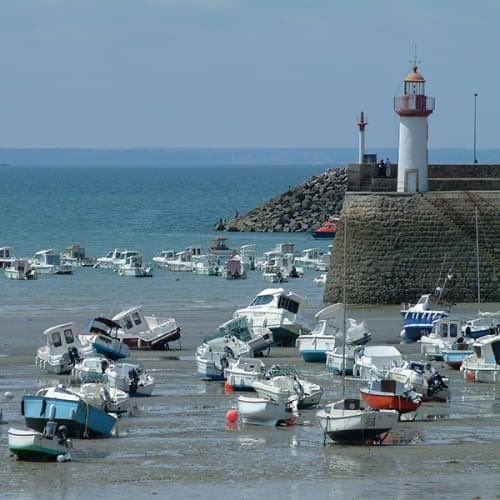 Marc Oreille tweet media