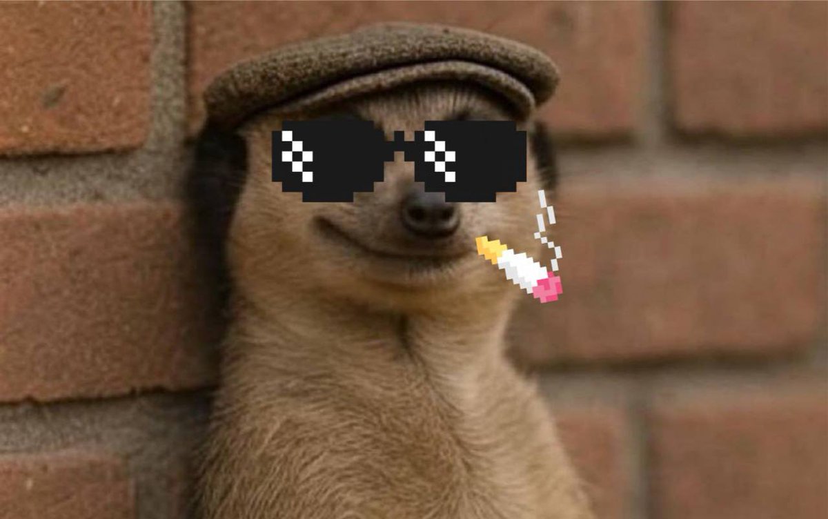 MeerKatOnX's tweet photo. When fynn shyt says you’re cute https://t.co/axJn7OLPFI