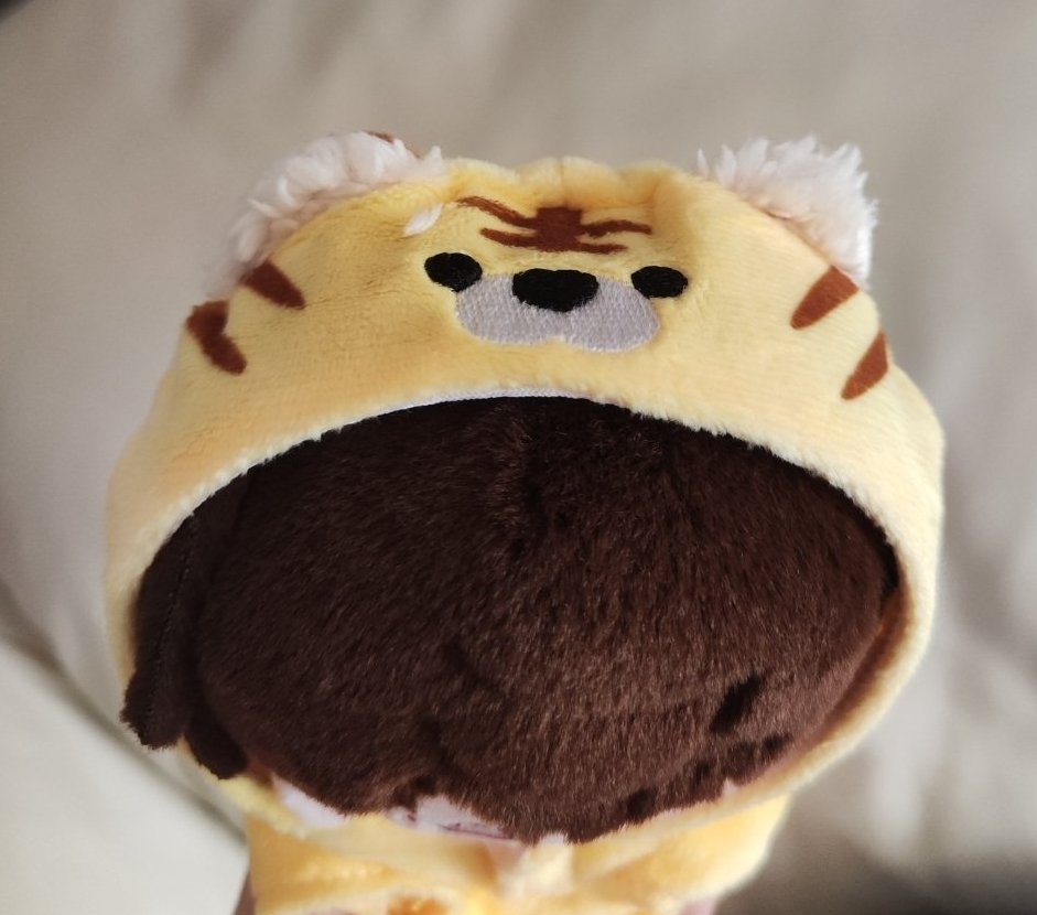 sayucat98's tweet photo. Mum says we have Catleb at home
🍎🐯
#Caleb #catleb #lads #plushies #lovean https://t.co/LlJg83ZHna