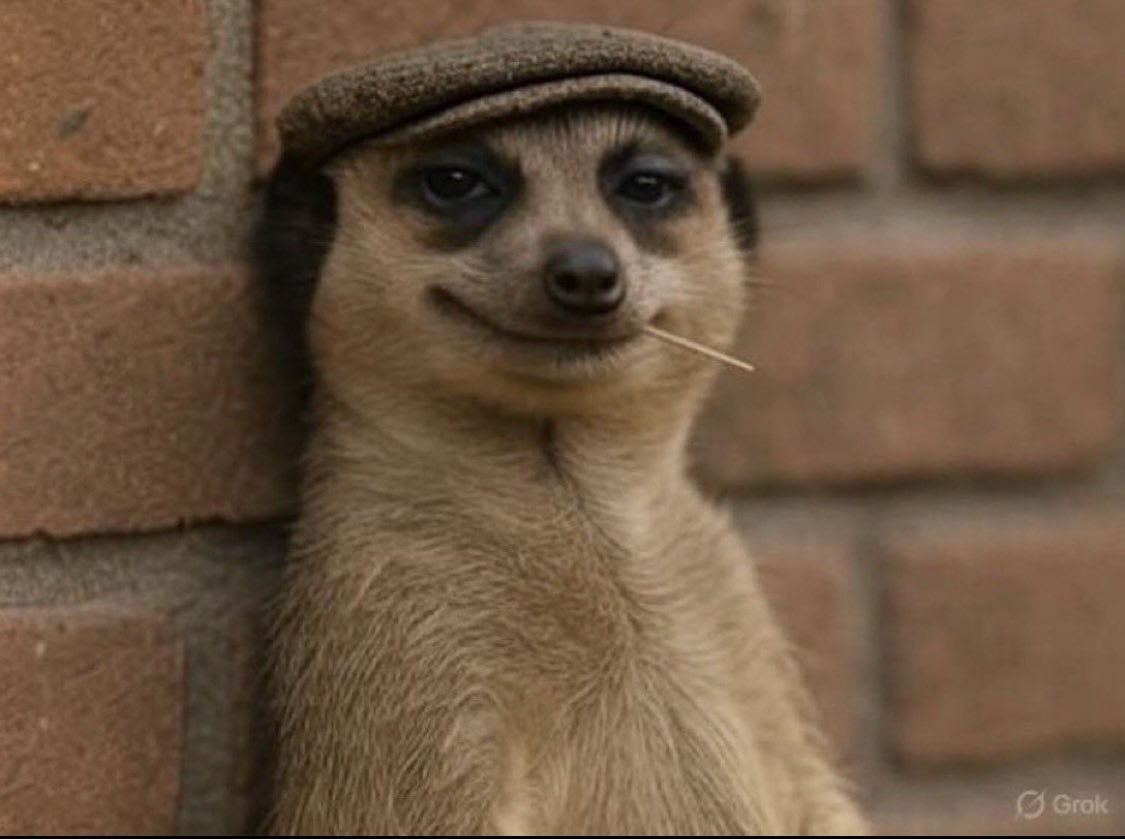 Web3bridge mentors watching you implement gasless transactions in week 3