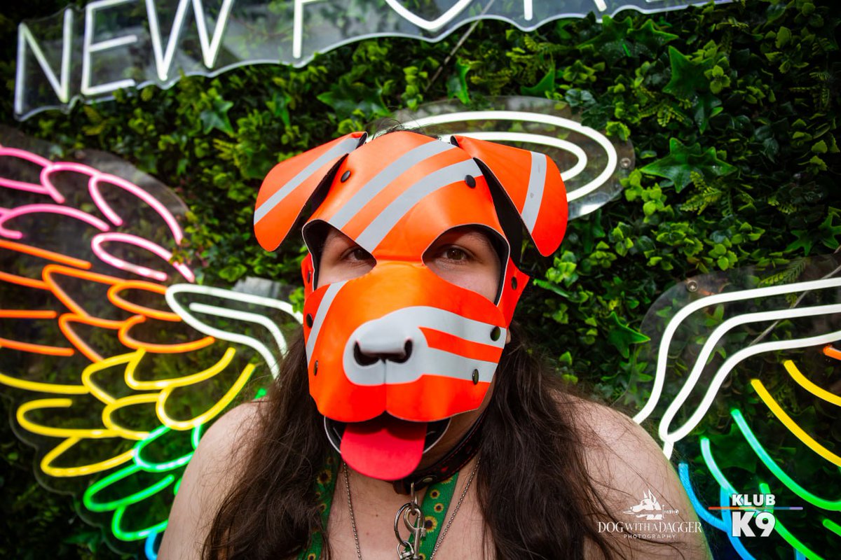 Photos from <a href="/KlubK9Notts/">Klub K9 Notts</a> taken by Sparky