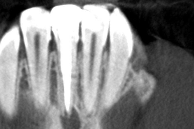 ذعار القحطاني tweet media