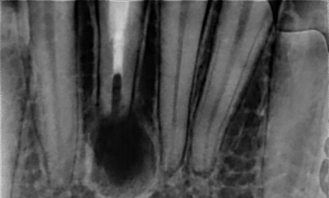 ذعار القحطاني tweet media