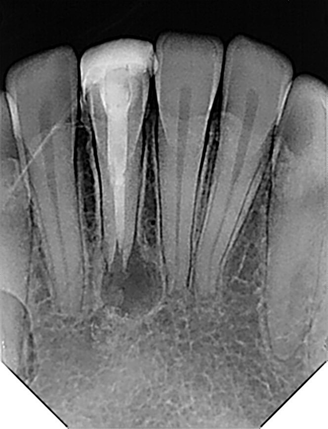 ذعار القحطاني tweet media