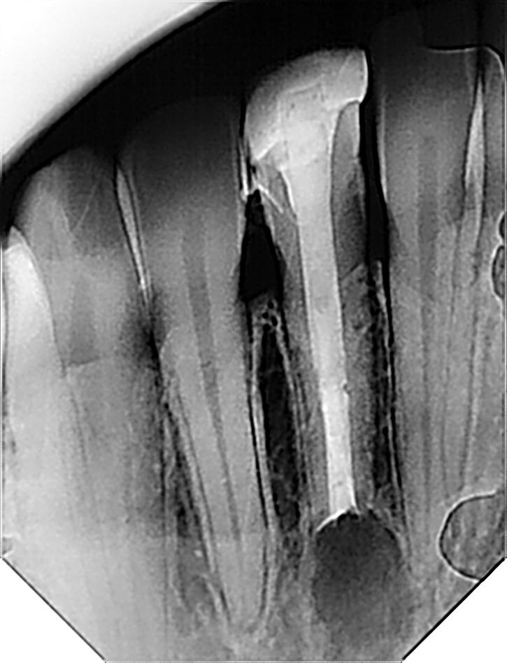 ذعار القحطاني tweet media
