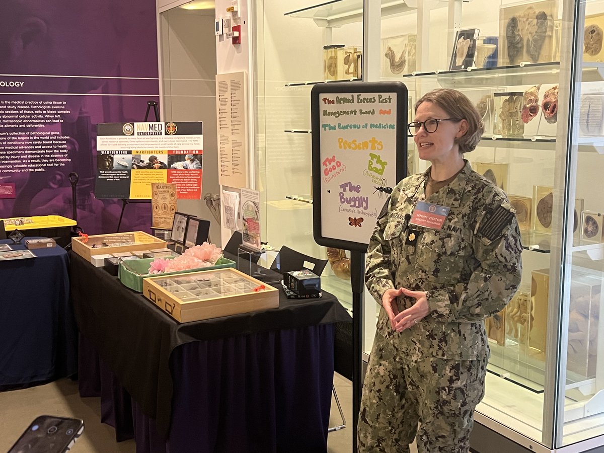 afpmb's tweet image. On June 21, military entomologists from AFPMB, @NavyMedicine , and @WRAIR engaged ~250 visitors at Bugapalooza! They highlighted insects' importance and the vital role of military entomology. #Bugapalooza #PublicOutreach