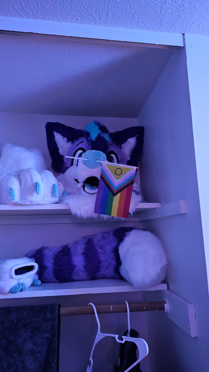 FadedFox's tweet image. I GOT MY SUIT BEFORE ANTHROCON
THANK YOU SO MUCH @StardustFoxArt fox making my boy real and a dream come true and seriously make me the happiest. I've been in a while 💜💜