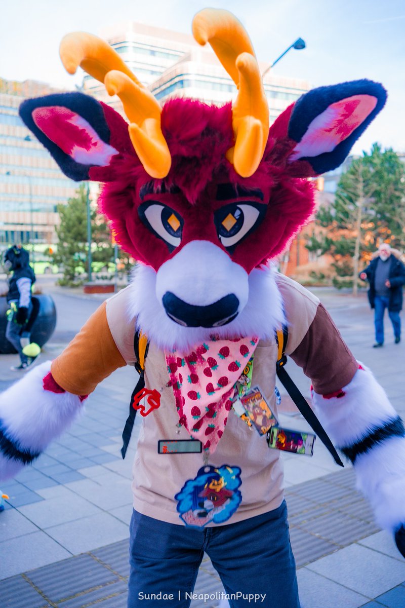 IT'S HUG A DEER DAY‼️
GIMME HUGS