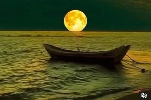_____Uzak yada yakın

   Herkes herkesin hayatında

        Hissettiği kadar var.. 

#Guene 🐦🍁🍂🌷

#iyiakşamlar 🌙🌿🕊