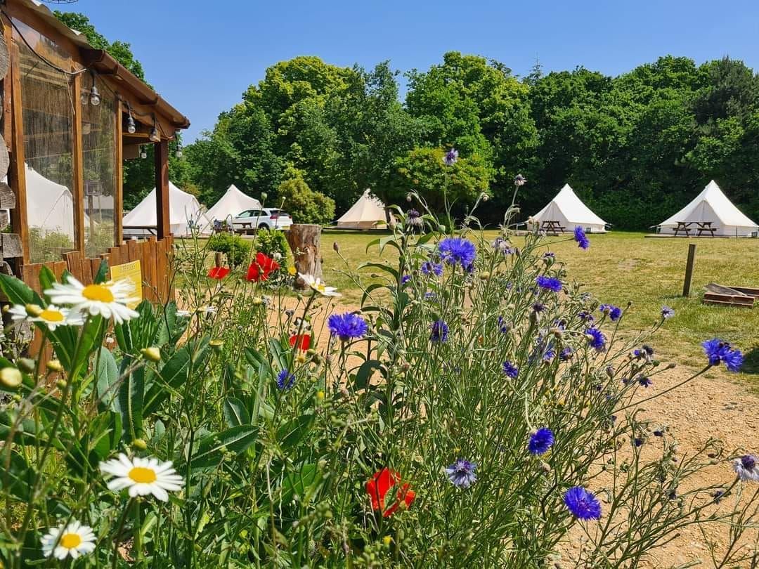 WeAcceptPets's tweet image. ⛺ Escape to Nature with Bell Tent Glamping 🌲

Surrounded by breathtaking scenery, Bell Tent Glamping offers a magical retreat for those who love the great outdoors. 

Accepts 🐶 
weacceptpets.co.uk/Hampshire/8585 

#GlampingUK #NatureRetreat #OutdoorEscape #StylishCamping #Pets #Netley
