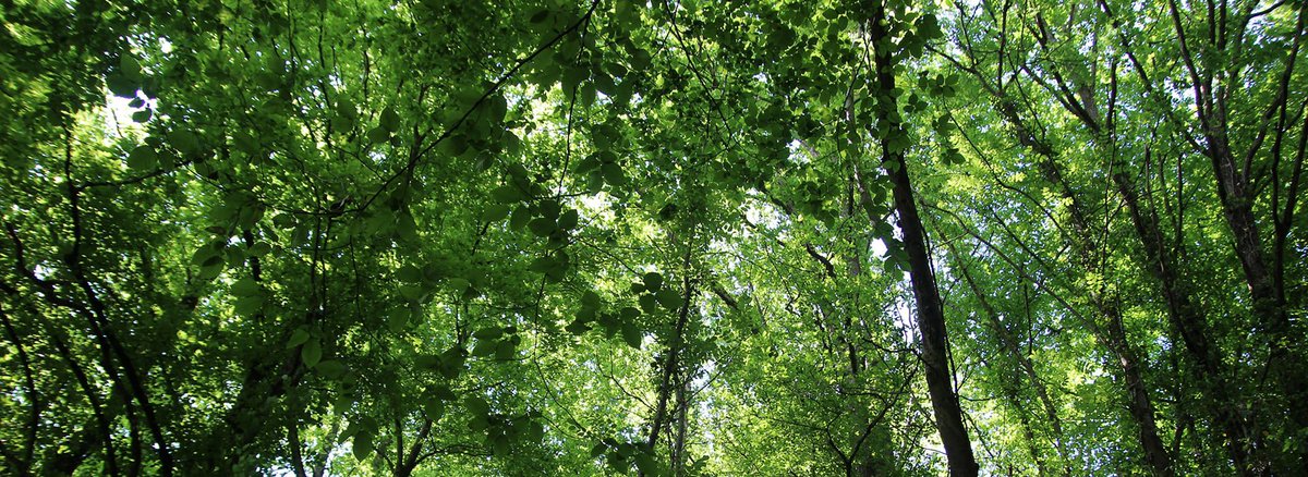 [INVITATION PRESSE #CCI06] Objectif zéro Carbone - RDV le 03/07 à partir de 9h00 à l'Azur Arena Antibes avec la <a href="/CCIcotedazur/">CCI Nice Côte d'Azur</a> et <a href="/CASAOfficiel/">CASA - Officiel</a> 
 🪩cote-azur.cci.fr/espace-presse/…