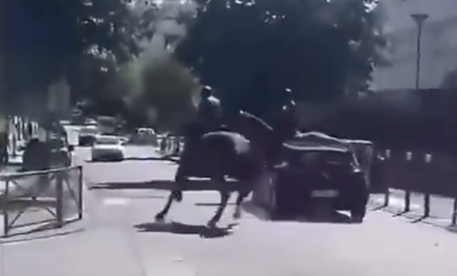 🔴 Sécurité à Sevran : des policiers à cheval pris pour cible par des tirs de mortiers 

→ Plus d'informations en cliquant ici : actuforcesdelordre.fr/?p=166029 

#ACTUFDO