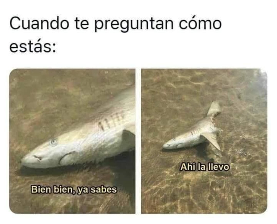 Ana_LaPatata (@ymuchosmemes) on Twitter photo 