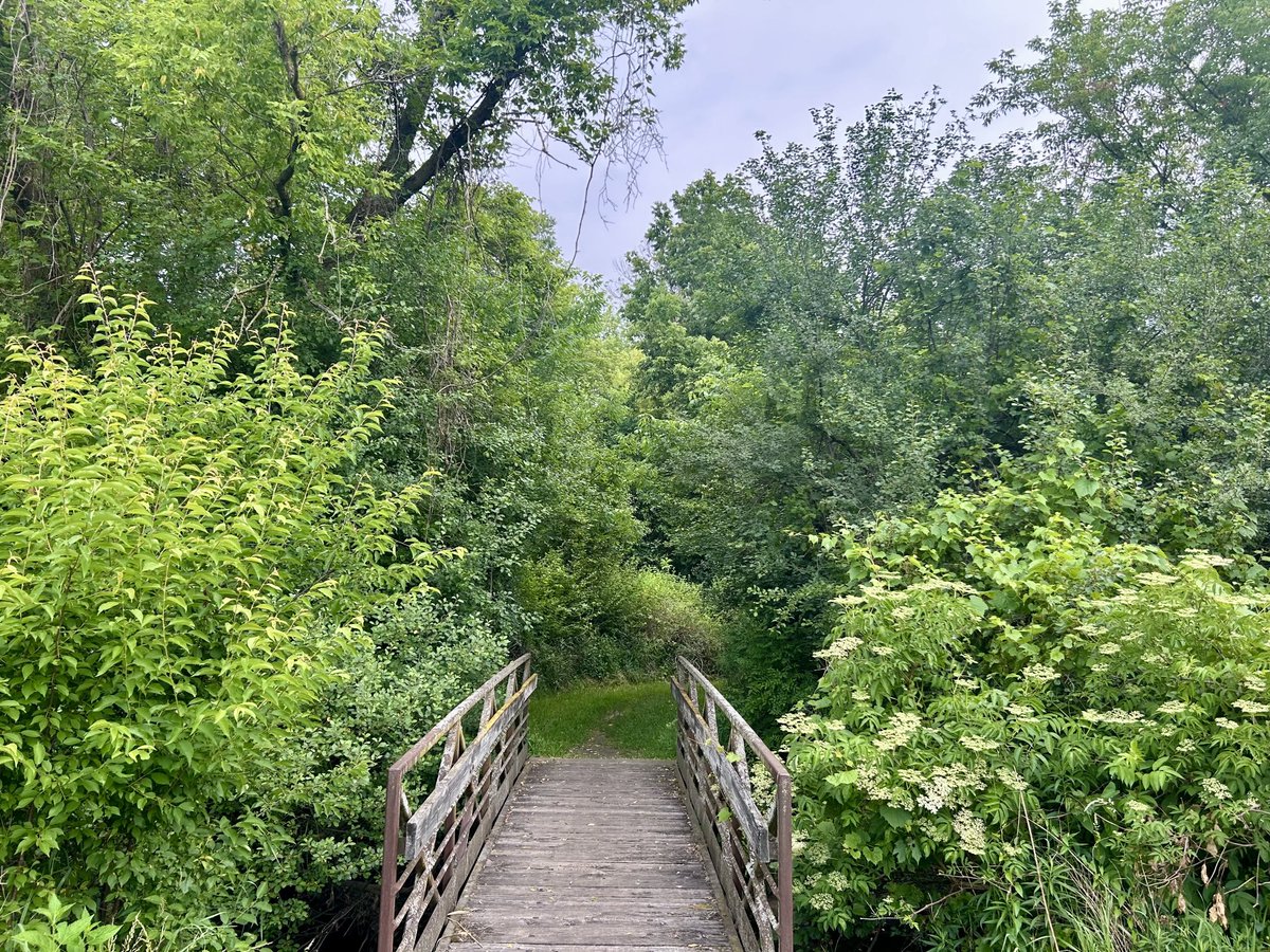 carpont's tweet photo. Let me hear in the morning of Your steadfast love, for in You I trust. Make me know the way I should go, for to You I lift up my soul. -Psalm 143:8 https://t.co/tk2FD1Gc6Z