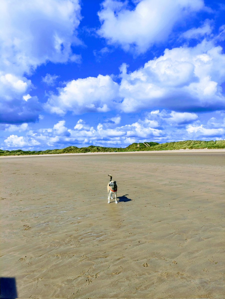 The Jackster missing Victordog1🌈🌈💔 tweet media