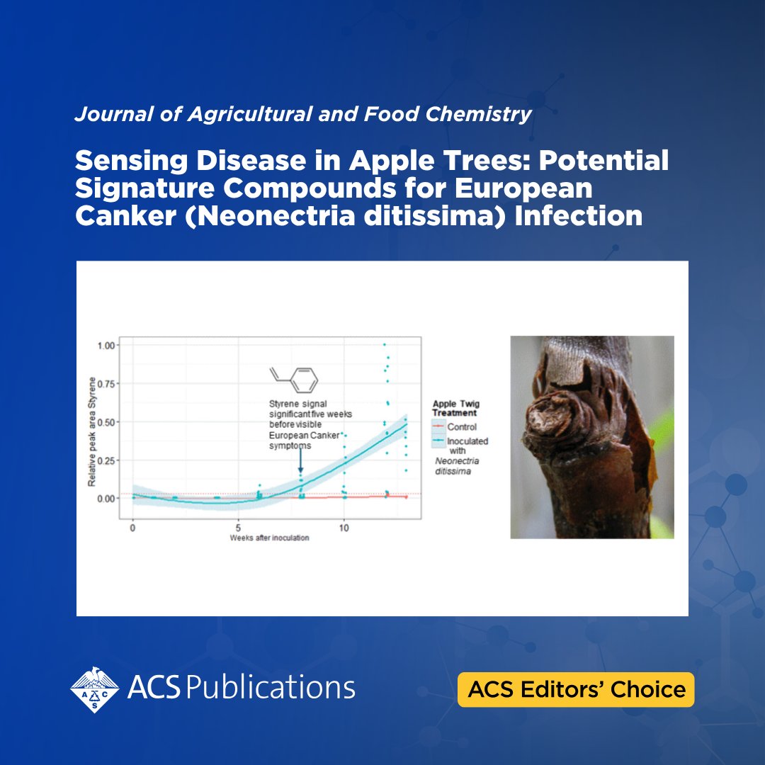 'Sensing Disease in Apple Trees: Potential Signature Compounds for European Canker (Neonectria ditissima) Infection' from Journal of Agricultural and Food Chemistry is an open access #ACSEditorsChoice.

📖 Read the article: go.acs.org/cMG