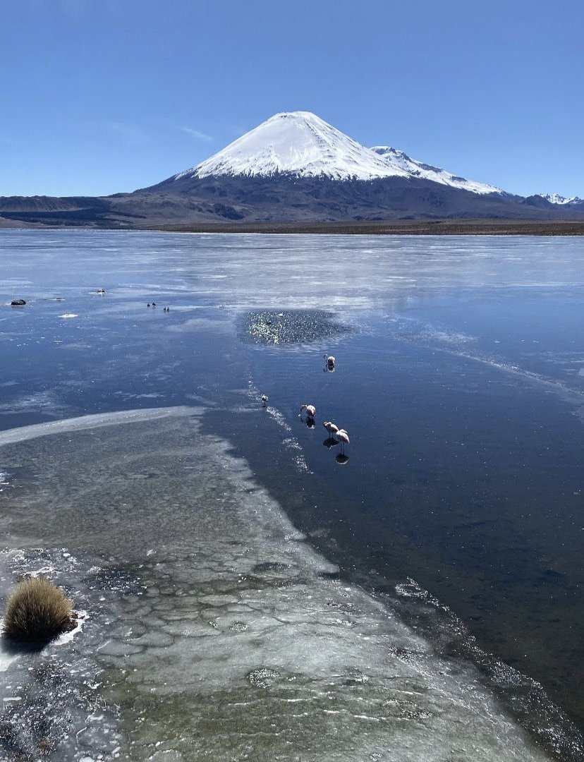 ¡Buenos días! 🌥️
🥶En Arica nos quejamos del frío y en el altiplano si que hace frío y así de congelado amanece el Lago Chungara en este invierno. 😦
Recuerden que para hoy hay pronóstico de precipitaciones en la región. ☔
Foto @soy_el_taapaca6 
#Arica #Chile #aricaesbacán