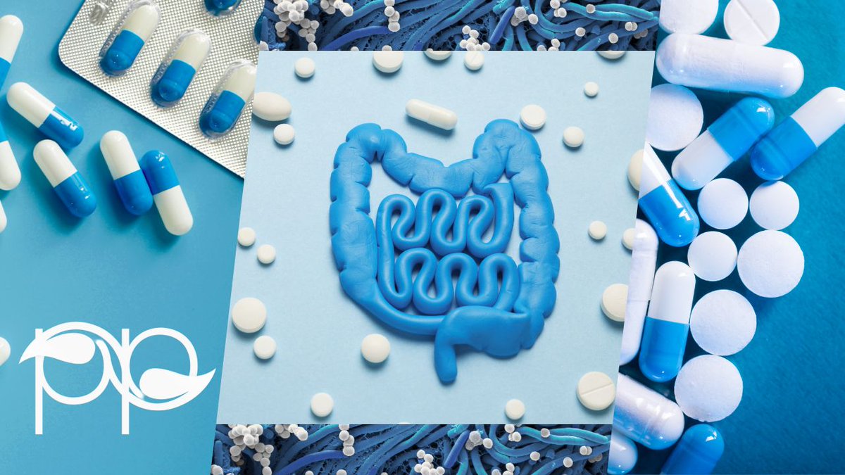 carolinepy's tweet image. Bloating or digestive upset after antibiotics?

You’re not alone — your gut needs support.

Here’s how to protect it naturally and long-term 👇

👉 𝐑𝐞𝐚𝐝 𝐭𝐡𝐞 𝐟𝐮𝐥𝐥 𝐛𝐥𝐨𝐠: peytonprinciples.com/blog/why-antib… 

#GutHealthForWomen #NaturalWellnessUK #DigestiveSupport