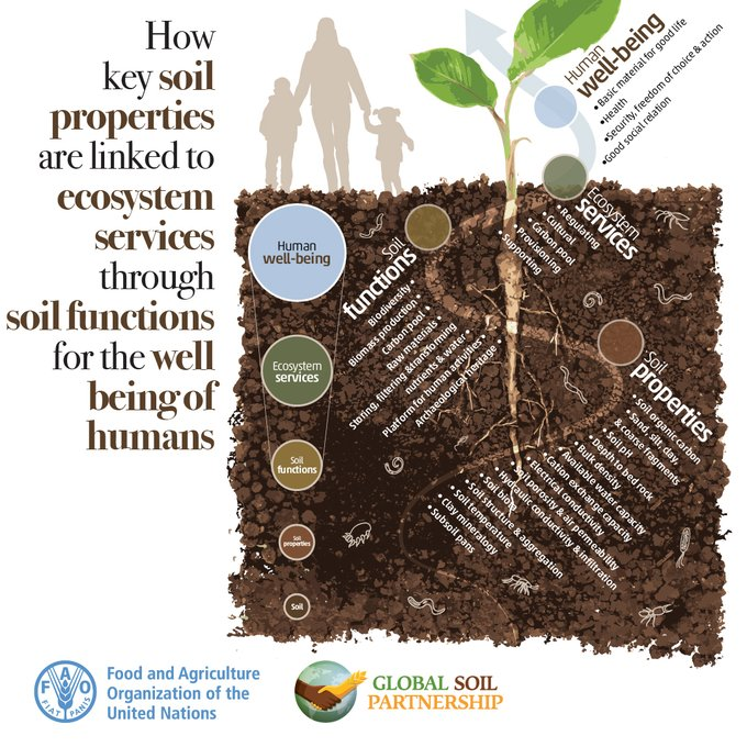 TNIAMProject's tweet photo. Environmental Specialist
@Worldbank @WorldBankWater @WBPubs @WorldBankIndia @tamilnadu_wrd @WBG_Climate @WBG_Environment
#ClimateChange
#GlobalWarming
#Carbonfootprint
#Biodiversity
#Resilienceplanning
#Soilhealth
#Planthealth
#WaterQuality
#Climateregulation
#Sustainabledevelopment
#Pollutionfree
#Pollutionimpacts
