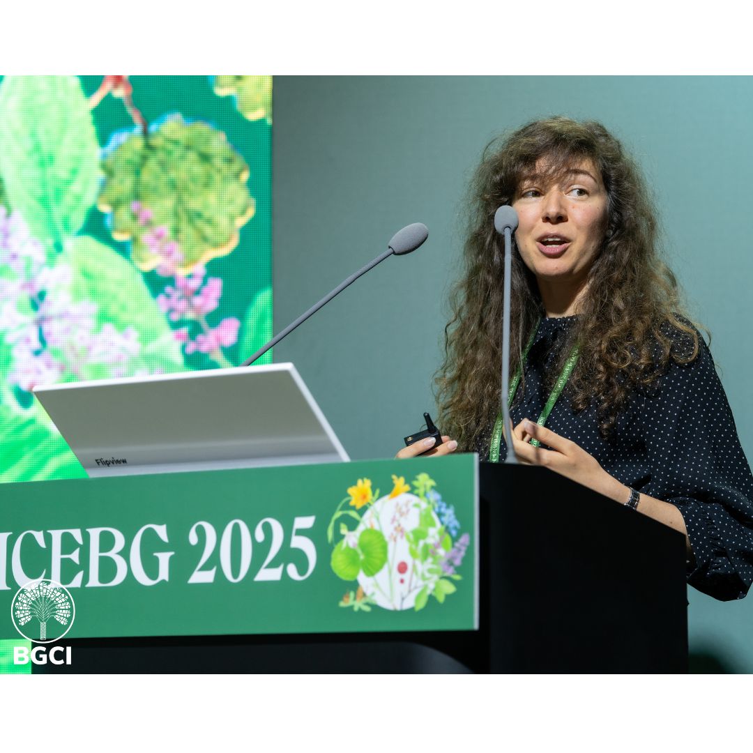 bgci's tweet image. Congratulations 🎉 to the 2025 Marsh Award winner for Education in Botanic Gardens Vesta Vančugovienė from Vytautas University Botanical Garden in Lithuania. Vesta received the award in person during the 11th ICEBG congress.
For more info buff.ly/jqk37Ll