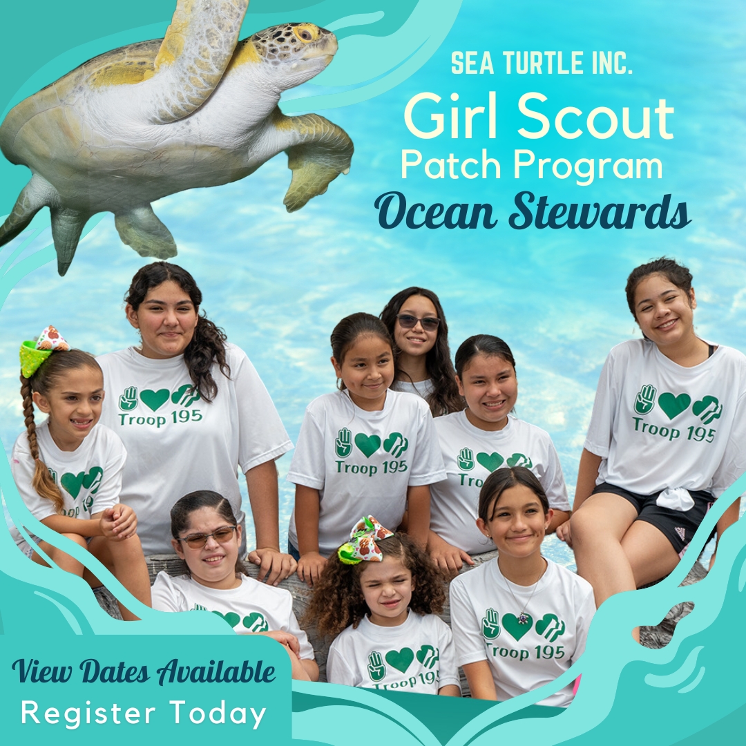 🌟 Adventure awaits! Enroll in Sea Turtle Inc’s Girl Scout Patch Program. 🐢

📅 Dates: 6/28/25
Time: 8:45 AM – 11 AM
Location: 6617 Padre Blvd, South Padre Island, TX 78597

🌊 Pre-registration is required. Sign up today: ow.ly/1ZKi50ViCG9