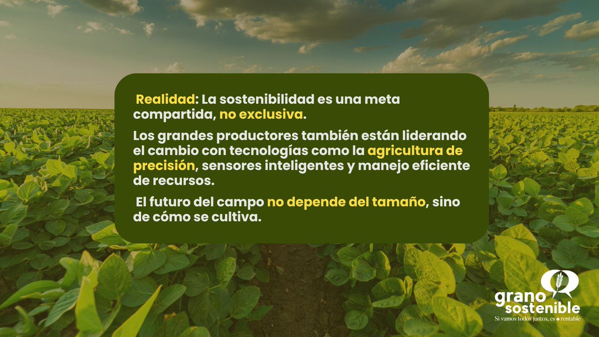 GranoSostenible's tweet image. 🌱 Mito: "Solo los pequeños agricultores pueden ser sostenibles"
¿Quieres saber la realidad?👇
#AgriculturaSostenible #InnovaciónRural #GranoResponsable