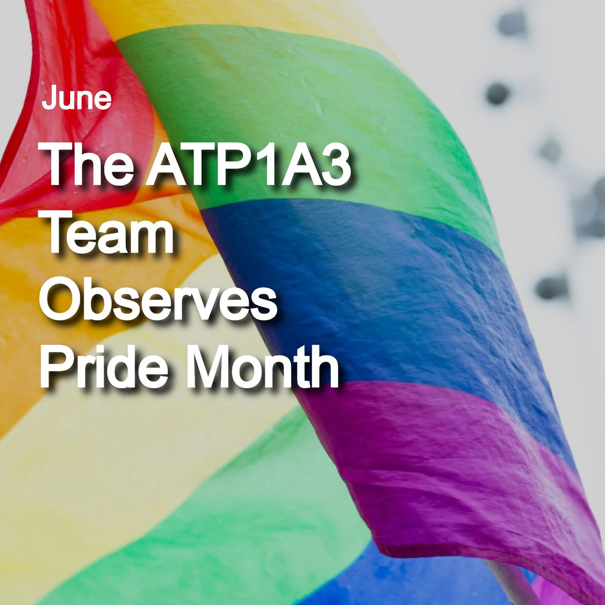 atp1a3Research's tweet photo. During #PrideMonth, let’s take time to send extra messages of support to members of the LGBTQIA+ community dealing w/ #ATP1A3-related disorders, which cause debilitating symptoms. We stand by everyone w/ #RapidOnsetDystoniaParkinsonism, #CAPOS &amp; other #RareMovementDisorders. https://t.co/tuKMYhMxLo