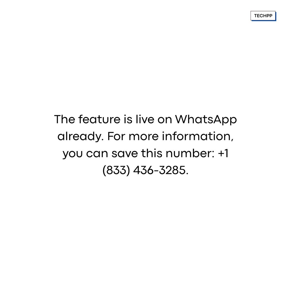 techpp's tweet photo. Now you can schedule tasks on WhatsApp using Perplexity AI. 

#PerplexityAI #WhatsApp #ScheduledTasks https://t.co/GxBmh3QsNf