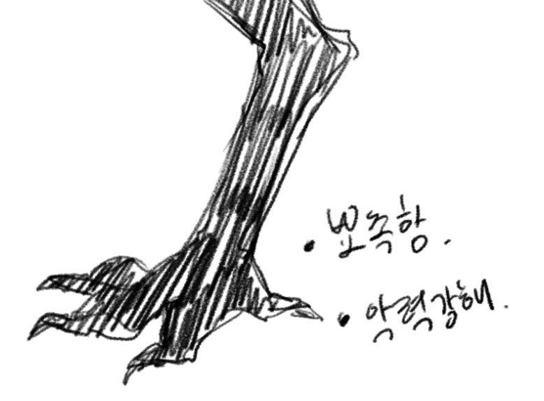 생각해보니 스톨 발이 맹금류 발이네...를 새삼 깨달어서 좋다,,,,,,, 가 되엇어요