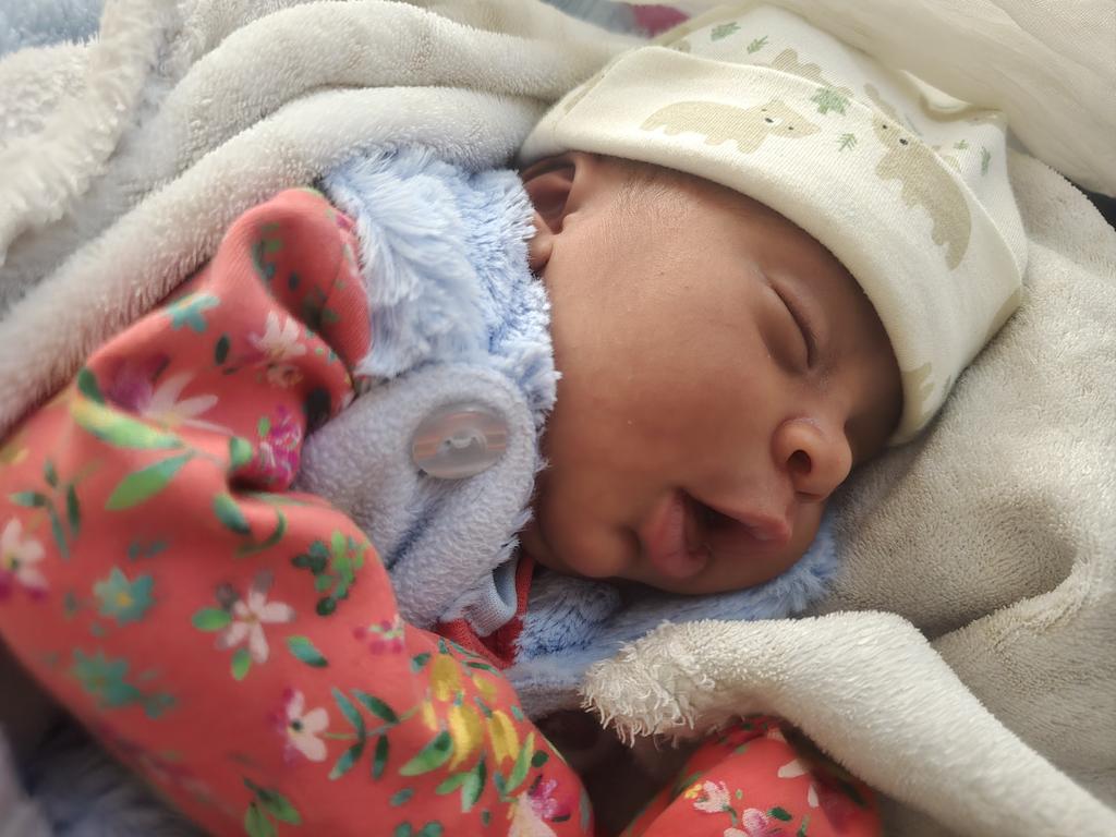 ELIAS ASFAW tweet media