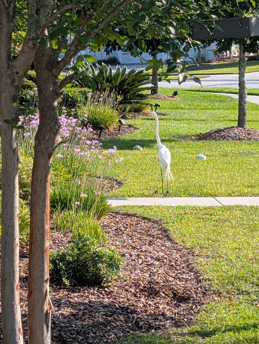 Melissa Henderson tweet media