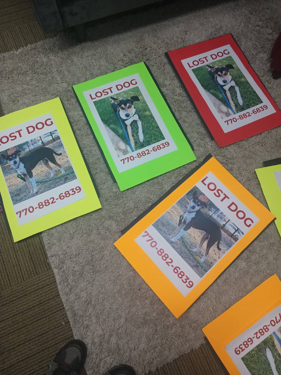 CastDestination's tweet image. ATLANTA, GA **POSTING FOR OUR DEAR FRIENDS** Guys we’re still over here looking for Bixby. If you live in the area between Covington Hwy, Pine Lake, Clarkston or Candler or know someone who does, keep an eye out for him. He’s a sweet shy dog PLEASE CALL 770-882-6839** #Lostdog