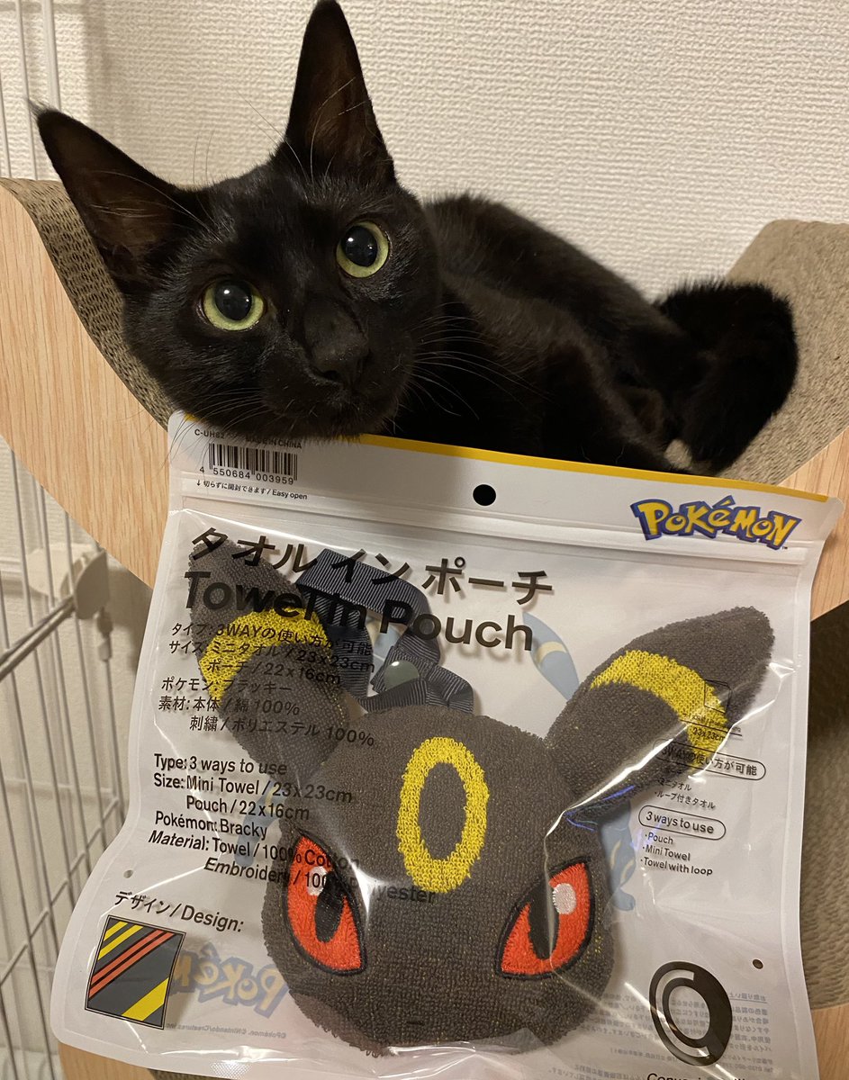 ブラッキー買えてうれしい🐈‍⬛ #黒猫 #cat #猫のいる暮らし #ブラッキー