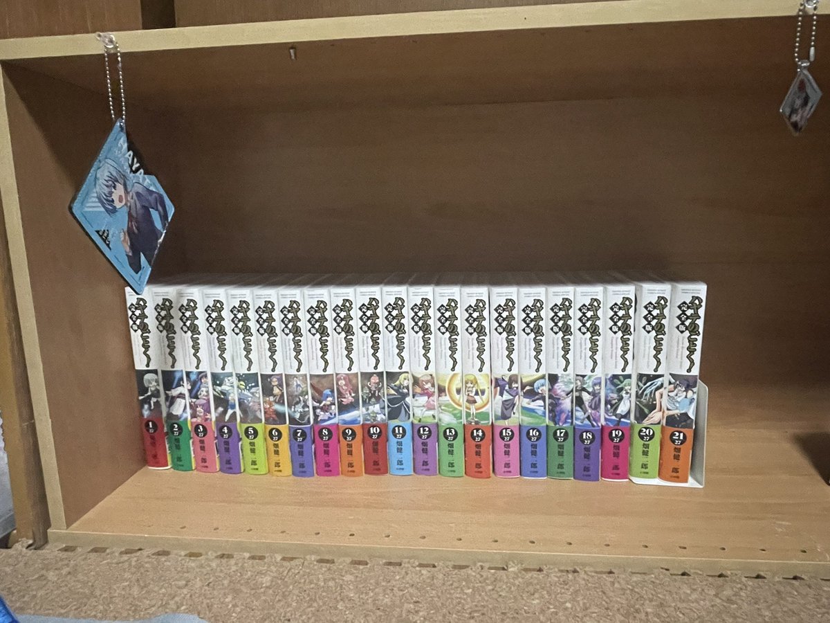 Sig1105's tweet photo. 棚の板が完全版の重さに耐えられずぶっ壊れたので横向きにして一列に揃えられるようになりました
結果オーライってやつです https://t.co/GNtyPsacJW
