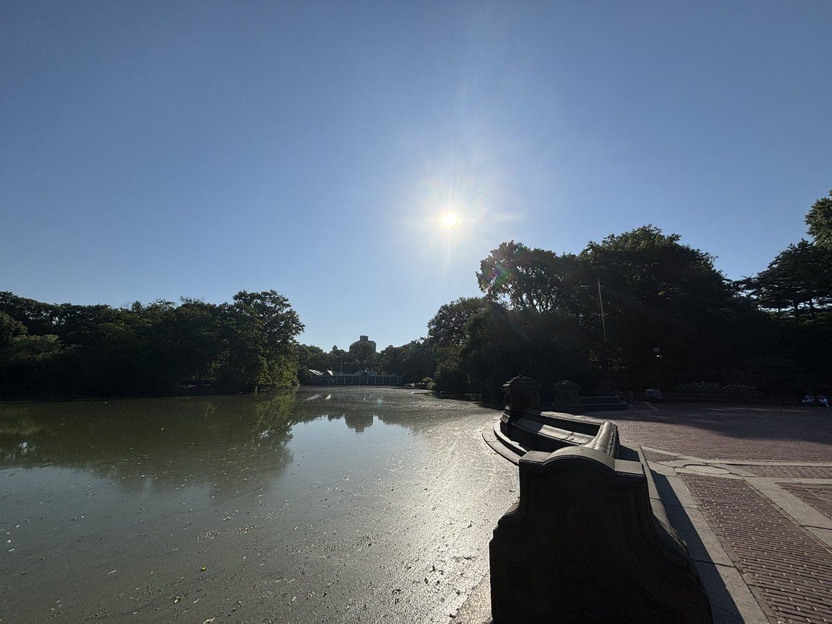 It’s 85F at 8am, another scorcher today. #heatwave2025 #mymorningwalk <a href="/CentralParkNYC/">Central Park</a>