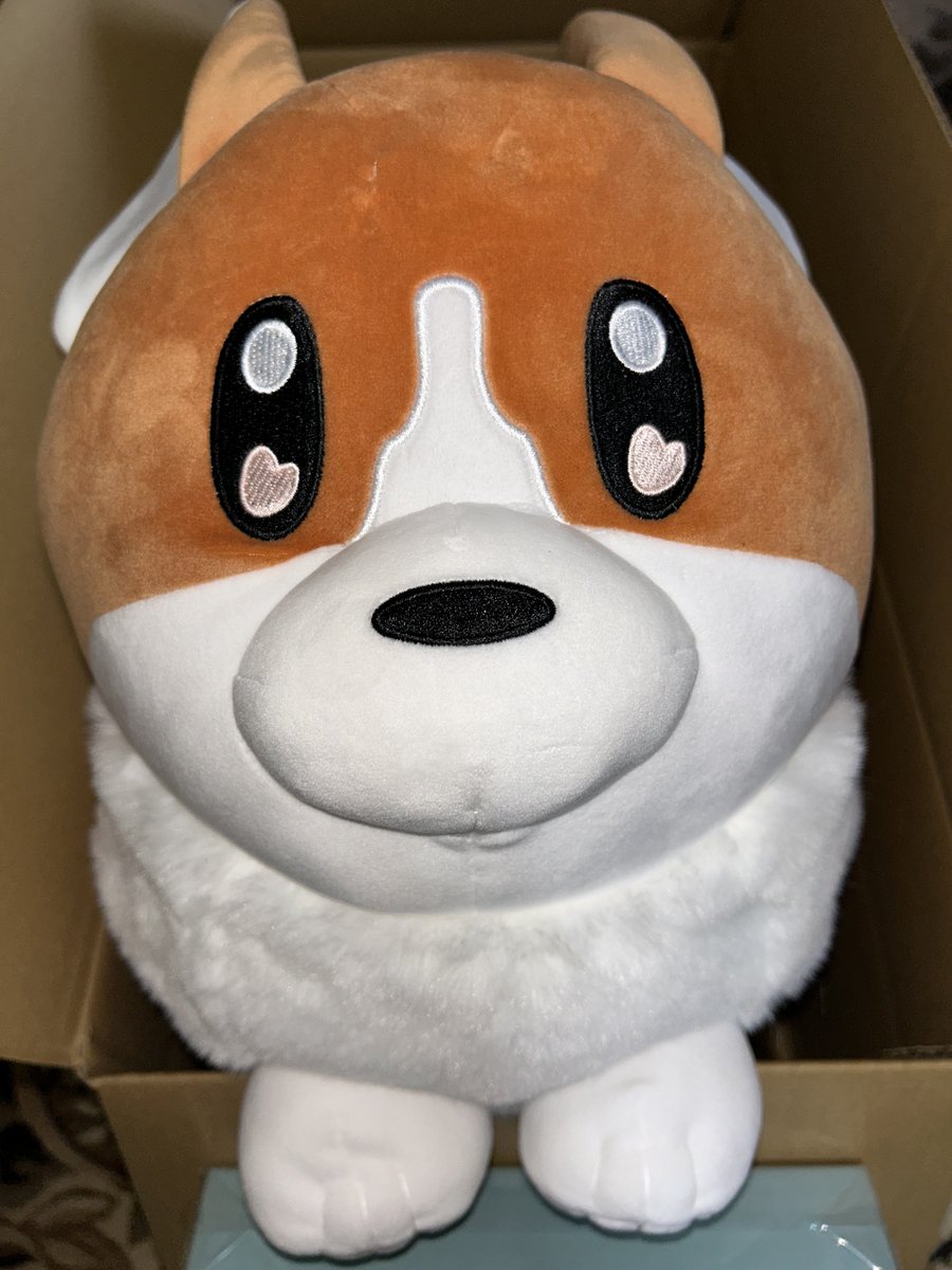 ヨルシカのライブの円盤とワンコ届いたから早速観たぞい

ラストの朗読で涙止まらん……😭

コーギーぬい触り心地良すぎて永遠にモフっていたいけど、ライブ観てからワイ如きがモフっていいのかって思ってしまう…