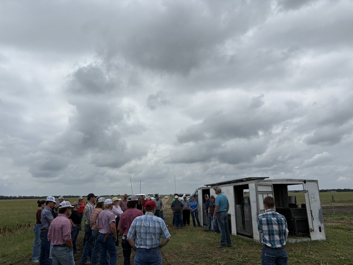 kacie_mccarthy's tweet image. Successful Cow-Calf Field day learning about research updates and technologies associated with targeted cattle feeding and supplementation, virtual fencing/water monitoring and cow efficiency.
#unlbeef #beefextension